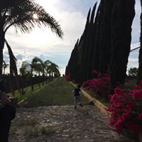 Apolonia Camacho Sanchez