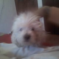 Reyna Gonzalez Flores