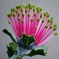 Maricarmen Velazquez