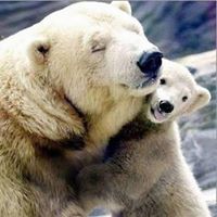 Claudia Alejandra Lopez