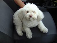 Sonia Del Angel Covarrubias