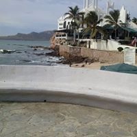 Sylvia Villafaña Cuervo