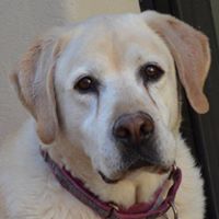 Roxana Morán Salazar