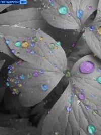 Carmen Olivia Solorio Lara