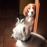 Iris Oseguera Martínez