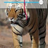 Jesus Espinozamartinez