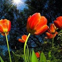 Maria de los Angeles Martinez Orralde