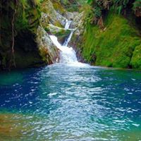 Aurora Rodriguez Buendia