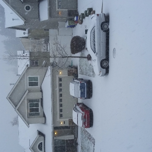 Maria Elena Perez Figuroa