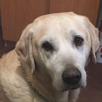 Maria Elena Ruíz Calderon