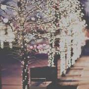 Maricela García Yañez