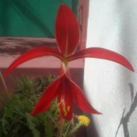 Miguel López Muñoz