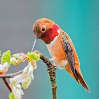 Paula Mercede Giles Morales